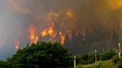 The 416 Fire near Durango, southern Colorado. REUTERS/Courtesy La Plata County, Colorado