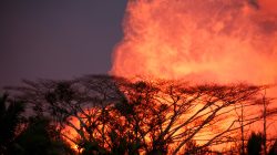 Gas and steam rise from a volcanic fissure in Leilani Estates during ongoing eruptions of the Kilauea Volcano in Hawaii, U.S., June 9, 2018. REUTERS/Terray Sylvester