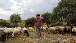 Demhat Tari poses for a picture during an interview with Reuters in Diyarbakir, June 4, 2018.REUTERS/Umit Bektas