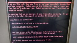 A message demanding money is seen on a monitor of a payment terminal at a branch of Ukraine's state-owned bank Oschadbank after Ukrainian institutions were hit by cyber attacks, in Kiev, Ukraine June 27, 2017. Picture taken June 27, 2017. REUTERS/Valentyn Ogirenko