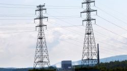 FILE PHOTO: Power lines in Hinsdale, New Hampshire, lead away from the Vermont Yankee nuclear power plant (C rear) in Vernon, Vermont August 27, 2013. REUTERS/Brian Snyder