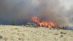 Flames rise past a ridge during efforts to contain the Spring Creek Fire in Costilla County, Colorado, U.S. June 27, 2018. Costilla County Sheriff's Office/Handout via REUTERS