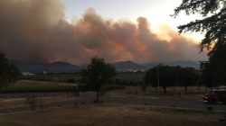 Smoke rises in distance from County Fire near County Road 63 and Highway 16 in Rumsey Canyon in this #CountyFire image on social media in Brooks, California, U.S., July 2, 2018. Courtesy California Department of Forestry and Fire Protection/Handout via REUTERS