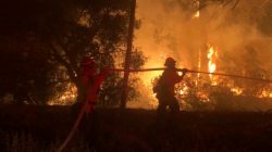 Firefighters work at the site of a wildfire in Goleta, California, U.S., July 6, 2018 in this image obtained on social media. Mike Eliason/Santa Barbara County Fire/via REUTERS