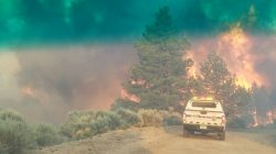 FILE PHOTO: Flames rise from a treeline near an emergency vehicle during efforts to contain the Spring Creek Fire in Costilla County, Colorado, U.S. June 27, 2018. Costilla County Sheriff's Office/Handout via REUTERS/File Photo