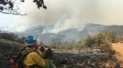 The Sierra Hotshots, from the Sierra National Forest, are responding on the front lines of the Ferguson Fire in Yosemite in this US Forest Service photo from California, U.S. released on social media on July 22, 2018. Courtesy USDA/US Forest Service, Sierrra Hotshots/Handout via REUTERS