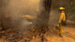 Fire fighters battle the Carr Fire west of Redding. REUTERS/Bob Strong