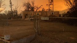 A burned out home in the small community of Keswick is shown from wildfire damage near Redding, California, U.S., July 27, 2018. REUTERS/Alexandria Sage