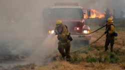 Firefighters knock down hotspots to slow the spread of the River Fire (Mendocino Complex) in Lakeport, California, U.S. July 31, 2018. REUTERS/Fred Greaves
