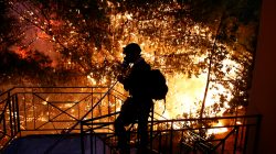 FILE PHOTO: A volunteer throws water through a hose as a wildfire burns in the town of Rafina, near Athens, Greece, July 23, 2018. REUTERS/Costas Baltas