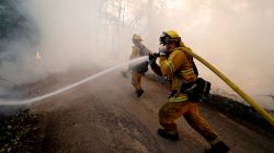 FILE PHOTO: A firefighter knocks down hotspots to slow the spread of the River Fire (Mendocino Complex) in Lakeport, California, U.S. July 31, 2018. REUTERS/Fred Greaves/File Photo