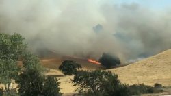 Smoke rises over a hillside on fire in Fairfield, California, the U.S., August 10, 2018, in this still image taken from a video obtained from social media. Erika Bjork/Twitter/via REUTERS