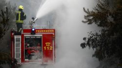 Firefighters help to put out a forest fire near Treuenbrietzen, Germany August 24, 2018. REUTERS/Hannibal Hanschke