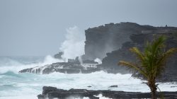 FILE PHOTO: Large waves crash against the shoreline on the east side of Oahu as Hurricane Lane approaches Honolulu, Hawaii, U.S. August 24, 2018. REUTERS/Hugh Gentry