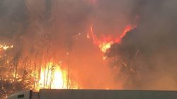 Flames engulf trees along interstate 5 in the Shasta-Trinity National Forest as a tractor trailer drives by north of Redding, California, U.S., September 5, 2018. Courtesy U.S. Forest Service/Handout via REUTERS