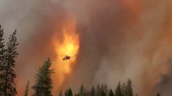 A helicopter drops water on a forest fire in Shasta County in California, U.S., September 5, 2018 in this picture obtained on September 6, 2018 from a social media video. CALIFORNIA HIGHWAY PATROL/via REUTERS