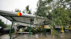 A fallen tree lies atop the crushed roof of a fast food restaurant after the arrival of Hurricane Florence in Wilmington, North Carolina, U.S., September 14, 2018. REUTERS/Jonathan Drake