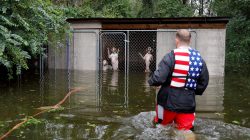 FILE PHOTO: Panicked dogs that were left caged by an owner who fled rising floodwater in the aftermath of Hurricane Florence, are rescued by volunteer rescuer Ryan Nichols of Longview, Texas, in Leland, North Carolina, U.S., September 16, 2018. REUTERS/Jonathan Drake/File Photo