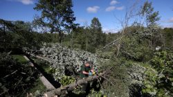 A man removes branches from a damaged tree after a tornado hit the Mont-Bleu neighbourhood in Gatineau, Quebec, Canada, September 22, 2018. REUTERS/Chris Wattie