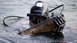 A diver from a bomb-disposal unit gies up the surface an unexploded shell recovered in the Meuse River at Sivry-sur-Meuse, close to WWI battlefields, near Verdun, France, October 23, 2018 before the centenial commemoration of the First World War Armistice Day. REUTERS/Pascal Rossignol