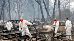 A volunteer search and rescue crew from Calaveras County comb through a home destroyed by the Camp Fire in Paradise, California, U.S., November 13, 2018. REUTERS/Terray Sylvester
